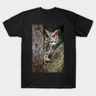 Great Horned Owl Peering Out T-Shirt